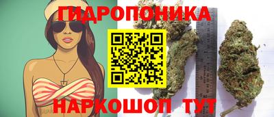 ГАЛЛЮЦИНОГЕННЫЕ ГРИБЫ Азнакаево