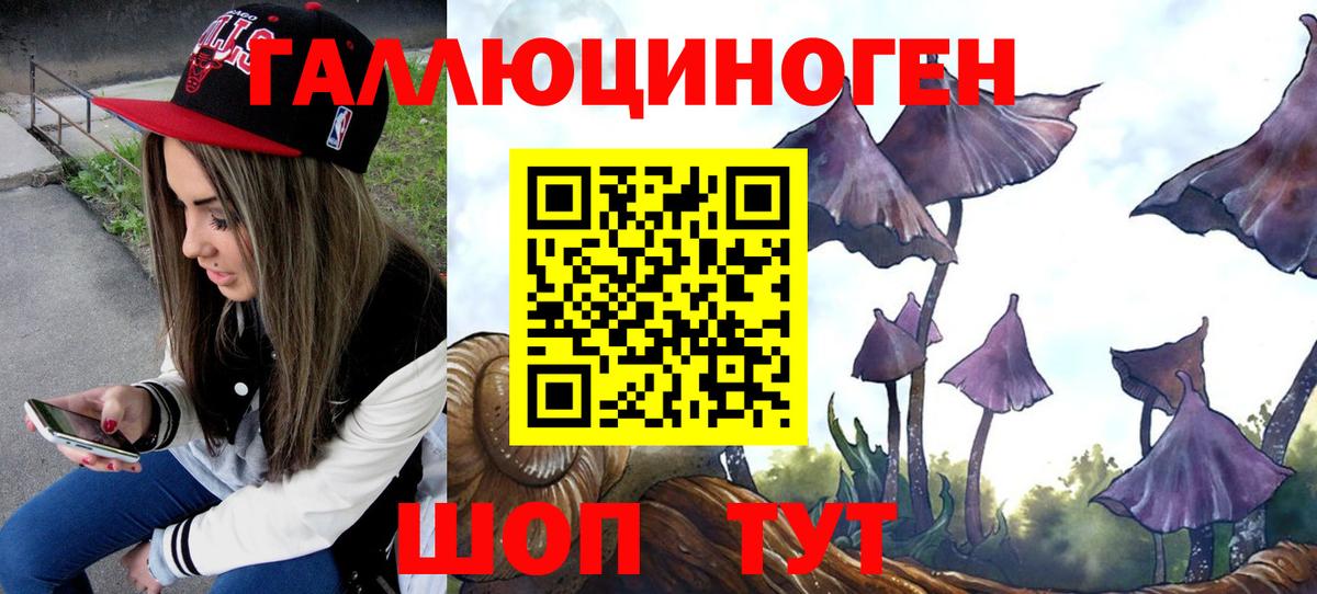 Абинск  Галлюциногенные грибы MAGIC MUSHROOMS  Вход с VPN 