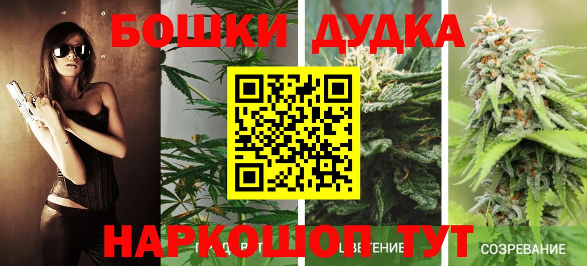 Марихуана OG Kush  Шишки марихуана планчик  Вход с VPN  Бошки марихуана White Widow  Канабис план  Абинск 